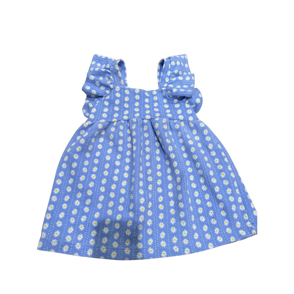 Zara Kids Blue Daisy Floral Ruffle Sleeve Textured Dress 18-24 Months